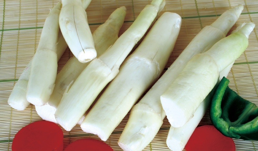 茭白